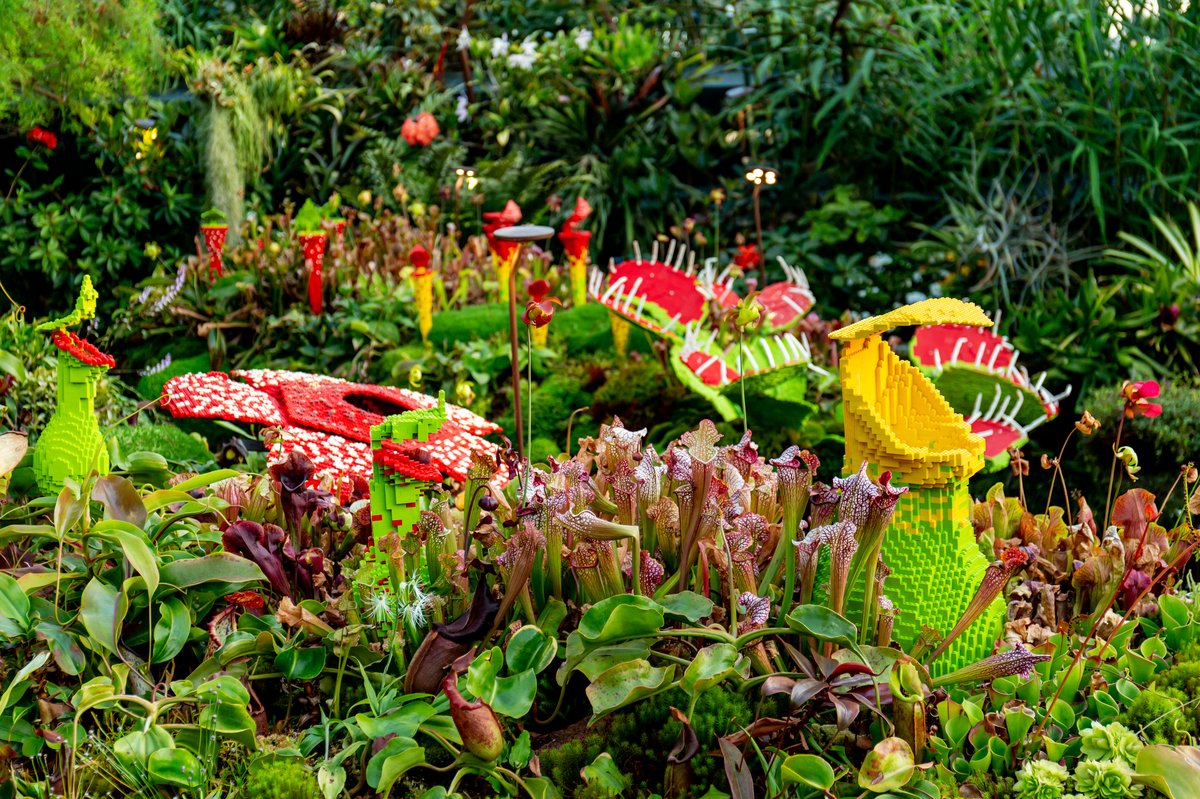 LEGO art at Gardens by the Bay Singapore