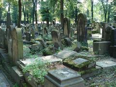 Jewish cemetery in Krakow with old tombstones and trees