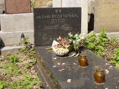 Grave of Emil Rosenzweig with tombstone and surrounding greenery