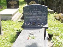 Grave of Ferdynand Rajchman with a stone cross and flowers