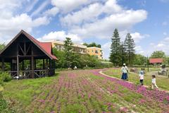 Mississauga Park