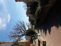 Path starting from rue de la Fontaine towards the Rhône river in Lyon