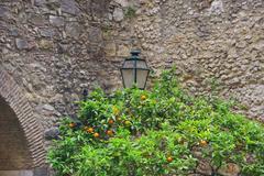 Citrus fruits with leaves in front of Castelo de São Jorge in Lisbon
