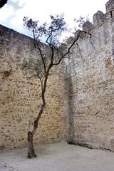 View of Castelo de São Jorge (Saint George's Castle) on a hill in Lisbon, Portugal