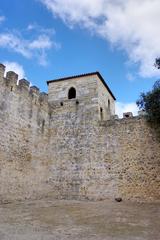 Aerial view of Castelo de São Jorge surrounded by Lisbon cityscape on a sunny day