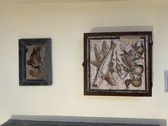 Ancient Roman mosaic art from the National Archaeological Museum of Naples