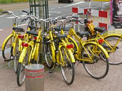 Group of yellow bikes parked at Museumplein square in Amsterdam during summer 2015