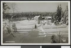 Winter landscape at Lørenseter in Nordmarka, Oslo covered in snow with trees and cabins