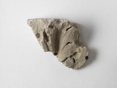Ancient carved limestone architectural fragment with acanthus leaf decoration from 2nd-3rd century Roman amphitheater wall