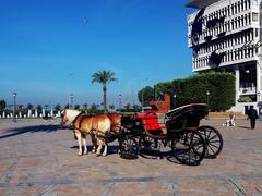 Phaeton horse carriage in İzmir's Konak Square