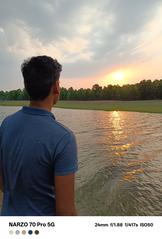 Sunlit pond in the middle of a dense green forest