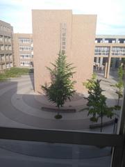 Xidian University