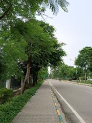 Sarnath Deer Park