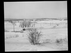 Manglerud