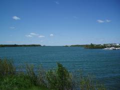 Aerial view of Leslie Street Spit with greenery and water surrounding it
