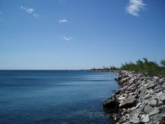 Leslie Street Spit aerial view showing the man-made land extension into Lake Ontario with greenery and water surrounding it