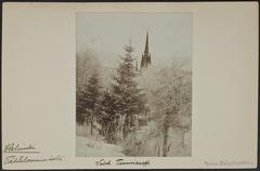 Winter view from Tähtitorninvuori with German Church tower in the background