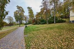 View of Tähtitornin vuori park in Helsinki with green trees and blue sky