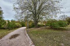 View of Tähtitornin Vuori Park with lush greenery and autumn trees in Helsinki