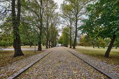 Street view of Kopernikuksentie in Tähtitornin vuori park, Helsinki with lush greenery and urban surroundings