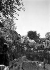 Black and white nitrate negative image of a pond at Tähtitornin vuorella