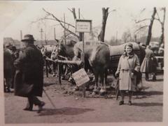 Historic livestock trade at Eugen Aron Cannstatt during 1924 agricultural festival