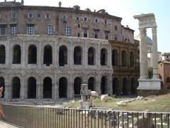 Colosseum in Rome under clear blue sky