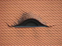Eyebrow dormer on the roof of the Brno Reduta theatre