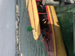 Mouettes genevoises yellow shuttle boats in Geneva harbor