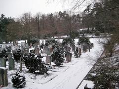 Western area of Fluntern Cemetery in Zurich, Switzerland with well-maintained graves under clear sky