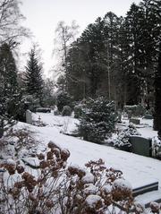 Aerial view of Fluntern Cemetery in Zurich, Switzerland from terrace above