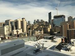 Rooftop view of the Art Gallery of Ontario in Toronto with the city skyline in the background