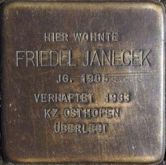 Stolperstein Dedicated To Friedel Janecek