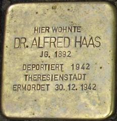 Stolperstein Dedicated To Dr. Alfred Haas