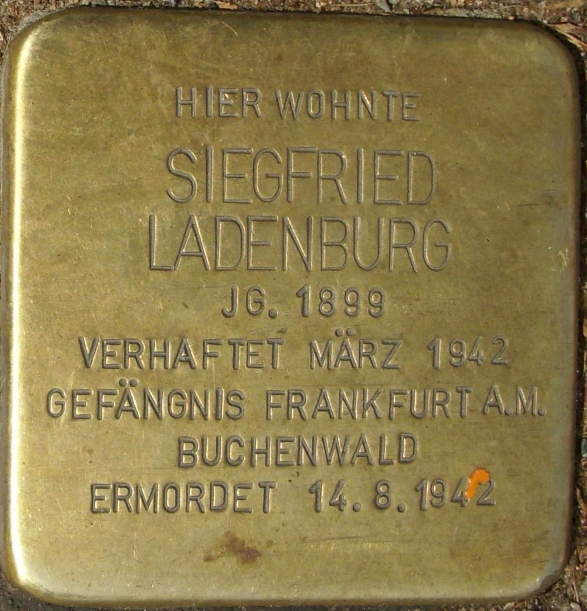 Stolperstein Dedicated To Siegfried Ladenburg in Mainz, Germany