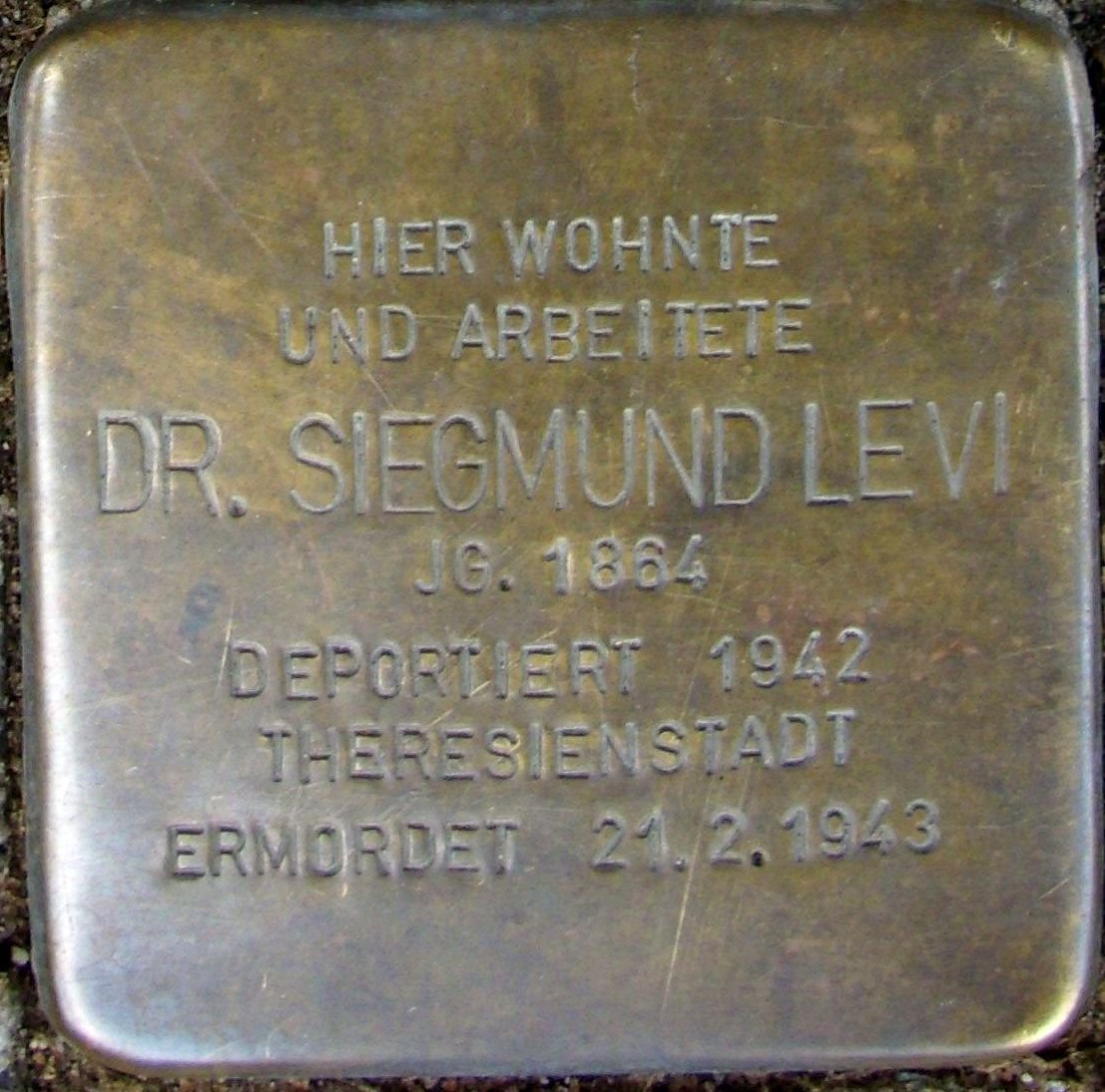 Stolperstein memorial stone dedicated to Dr. Siegmund Levi in Mainz, Germany