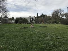 Scenic view of the Botanical Garden of Geneva with lush greenery and towering trees