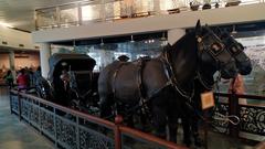 Vintage horse-drawn buggy formerly used by the President of India