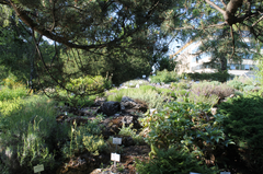 Botanical Garden in Vienna with diverse plants and greenhouses