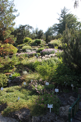 Botanical Garden in Vienna with diverse plants in greenhouses and open areas