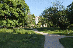 Botanical Garden Of The University Of Vienna