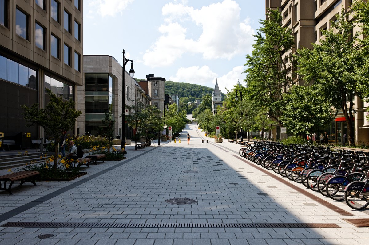 McTavish Street looking north from Sherbrooke Street with urban buildings and clear sky