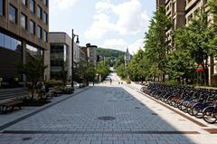 McTavish Street looking north from Sherbrooke Street with urban buildings and clear sky