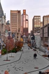 Southward view of McTavish Street from Doctor Penfield Avenue with autumn trees and urban buildings