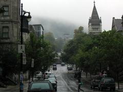 Mctavish Street