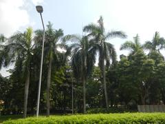 Mehan Garden in Ermita, Manila showing a garden path with benches and lush green trees