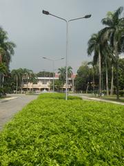 View of Mehan Garden with trees and pathways in Ermita, Manila