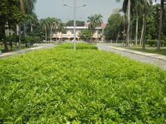 View of Mehan Garden with Universidad de Manila and cityscape in Ermita, Manila