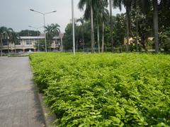 Alexander Pushkin monument in Mehan Garden, Ermita, Manila with surrounding greenery and urban backdrop