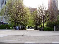 Tree-lined walkway in Mel Lastman Square, North York, looking east toward Yonge Street